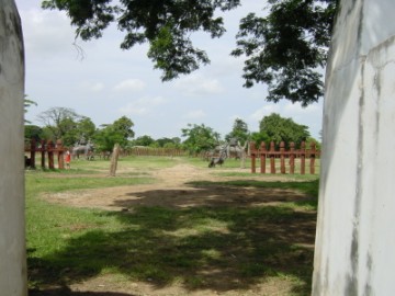 View of the kraal
