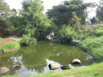 View of a stretch of Khlong Ayodhya