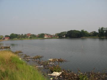 Khlong Chang west of Ban Maen andview of Wat Chang Yai