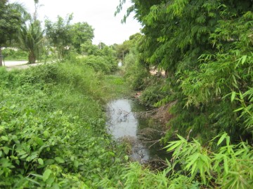 View of Khlong Khu Cham, largely silted