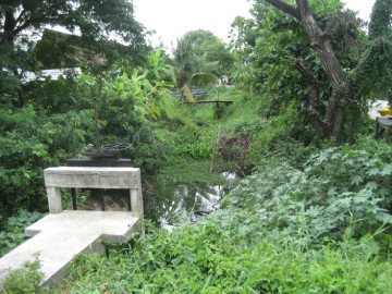 View of Khlong Khu Cham, largely silted