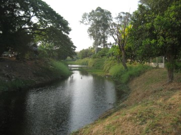 View of the canal