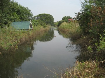 View of the canal
