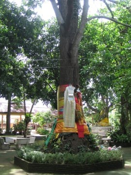 Mae Takhian shrine