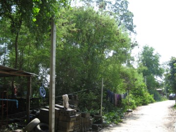 Mound is situated left of the street