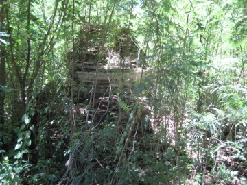 Ruins in situ