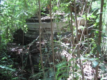 Ruins in situ