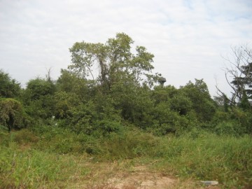View of the former location