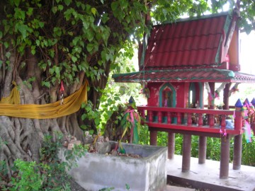 Shrine near a Bodhi tree