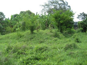 Location east of the site