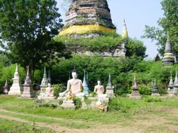 Buddha images in situ