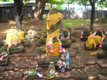 Damaged images in situ