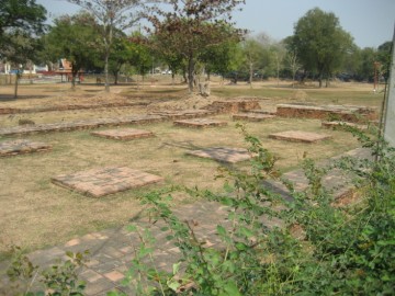 View from the west