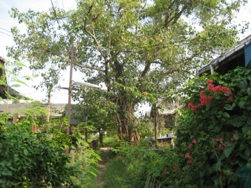 View of the location of the former monastery