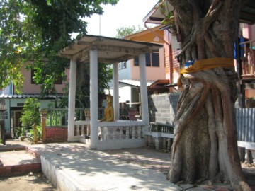 North side