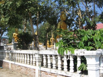 View from the South