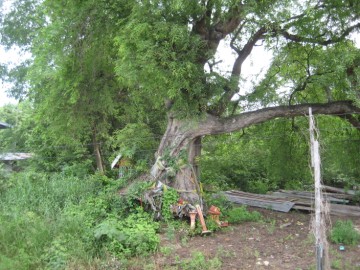 View of the site
