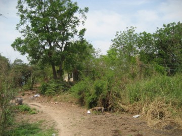 View of the location