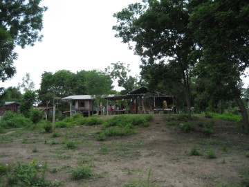 View of the location