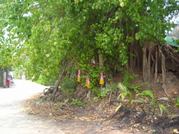 View of the ruin of Wat Khok Kaeo