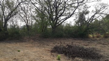 View of the site
