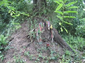 Brick remnants in situ