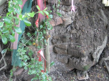 Brick remnants in situ