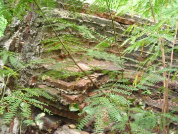 (Brick work in situ)