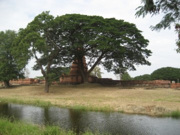 View from the south
