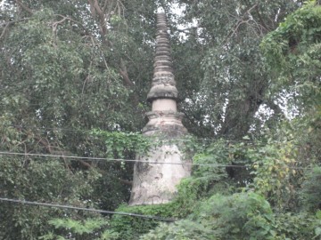 Chedi close-up