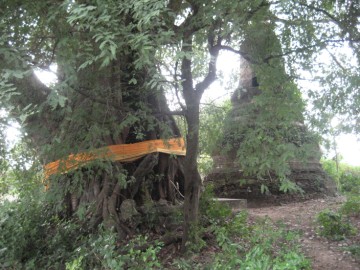 Chedi and brick work in situ