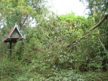 View of the Wat Maha Thalai site