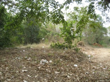 Site view of Wat Maklam