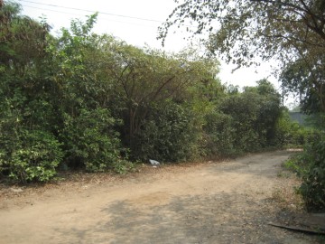 Location view of former Wat Nang Chi