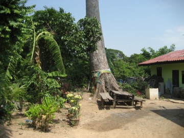 Former location of Wat Ngio