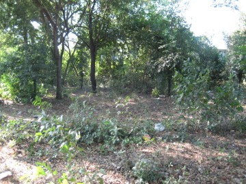 Site view of Wat Pa Thon