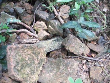 Scattered bricks and tiles in situ