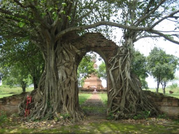 Entry gate to Wat Phra Ram