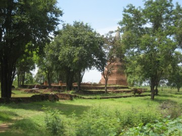 View of Wat Phra Ram from the north