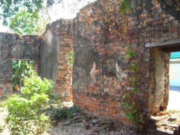 View from within