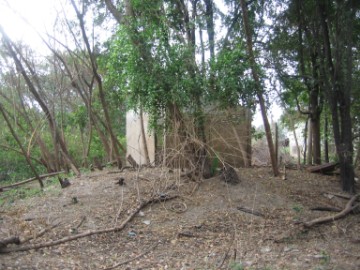 Brick mound of Wat Raeng
