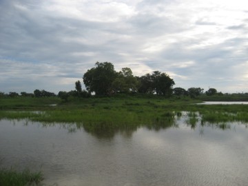 View of the area of Wat Sangkhawat