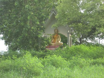 Buddha image in situ