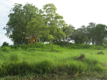 View of the mound