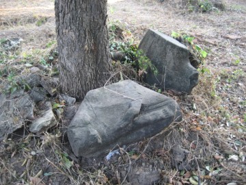 Broken pieces of Buddha images in situ