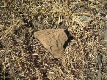 Broken antefix in situ