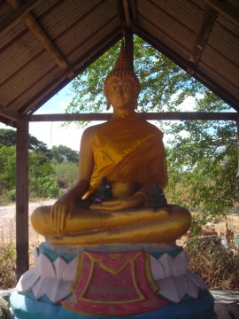 Buddha image in situ
