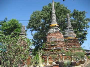 Chedi rai on premises