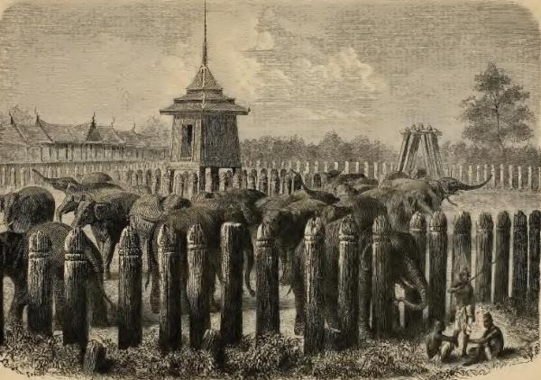 The Ayutthaya Kraal by Mouhot